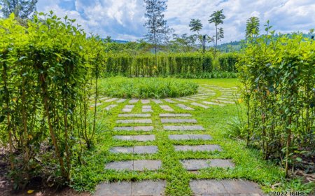 Rwanda records significant growth in wildlife and biodiversity