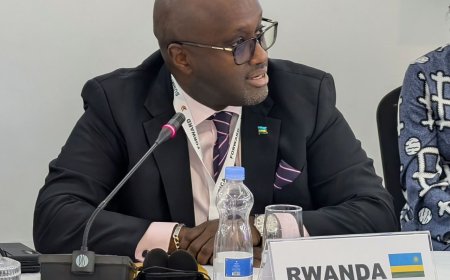 Rwanda calls for fair African Representation in UN Security Council reforms