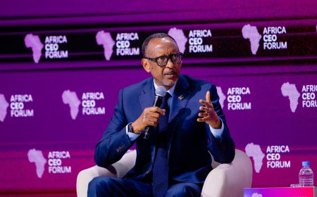 President paul kagame calls on africa to harness its opportunities to tackle global challenges