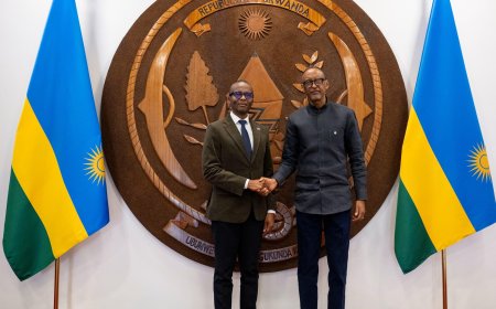 Perezida Kagame yakiriye Visi Perezida wa Botswana baganira ku bufatanye bw’ibihugu byombi