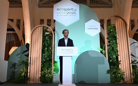 Temasek unlikely to meet 2030 climate targets, says CEO Dilhan Pillay
