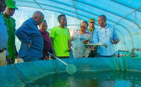 Ngoma: Biyemeje guhanga imirimo mishya  22,500 mu myaka 5