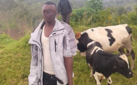 Karongi: Yaguwe gitumo ari kugurisha  inka ebyiri yibye