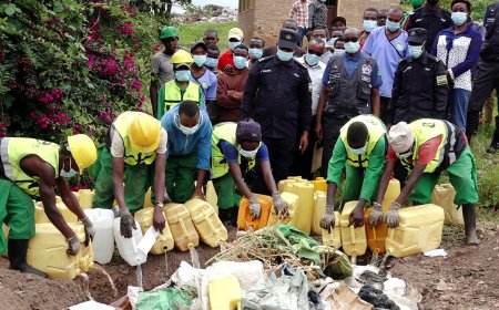 Amajyepfo: Polisi yangije ibiyobyabwenge birimo ibiro 480 by’urumogi