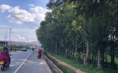 Muhanga: 12 bakekwaho ubujura batawe muri yombi