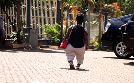 Umunyamategeko wise umuntu ‘igikuri’ yasabiwe gufungwa