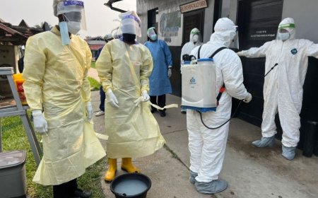 Kenyan Court blocks United States-Linked Ebola arrangement