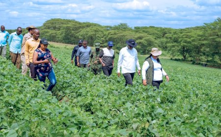 Nyagatare:  Abahinzi basabwe kunoza imicungire y'amakoperative no kongera umusaruro
