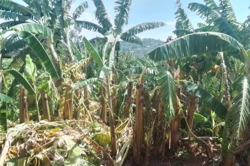 Gisagara: Imiryango 26 yasenyewe n’ibiza irasaba ubufasha