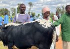 Nyaruguru: Miliyari 1 Frw zashowe mu gufasha imiryango 800 kwikura mu bukene
