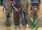 Amajyepfo: Bane bafatiwe mu cyuho bamaze kwiba inka zirindwi