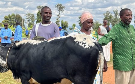Nyaruguru: Miliyari 1 Frw zashowe mu gufasha imiryango 800 kwikura mu bukene