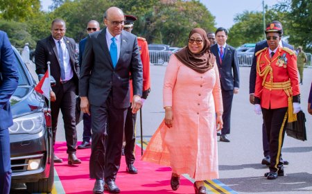 Tanzania and Singapore mark 45 Years of relations with historic Presidential visit