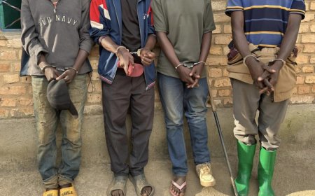 Amajyepfo: Bane bafatiwe mu cyuho bamaze kwiba inka zirindwi