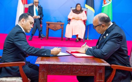 Tanzania and Singapore Sign Historic Agreements to Boost Economic and Health Cooperation