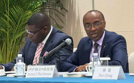 Dr. Buchanan highlights value of Long-Term planning and China–Africa Cooperation in Beijing Seminar