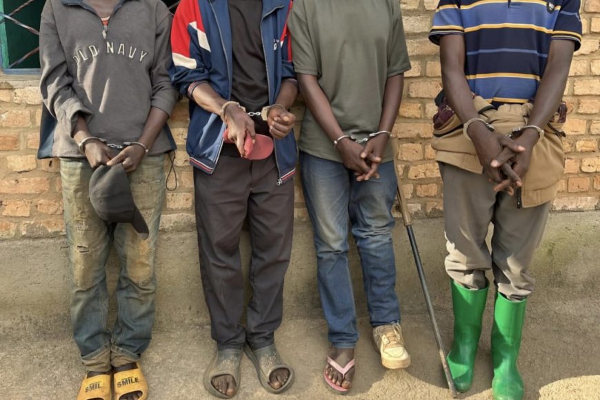 Amajyepfo: Bane bafatiwe mu cyuho bamaze kwiba inka zirindwi