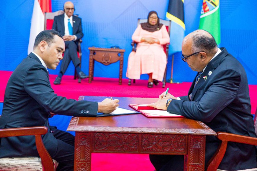 Tanzania and Singapore Sign Historic Agreements to Boost Economic and Health Cooperation